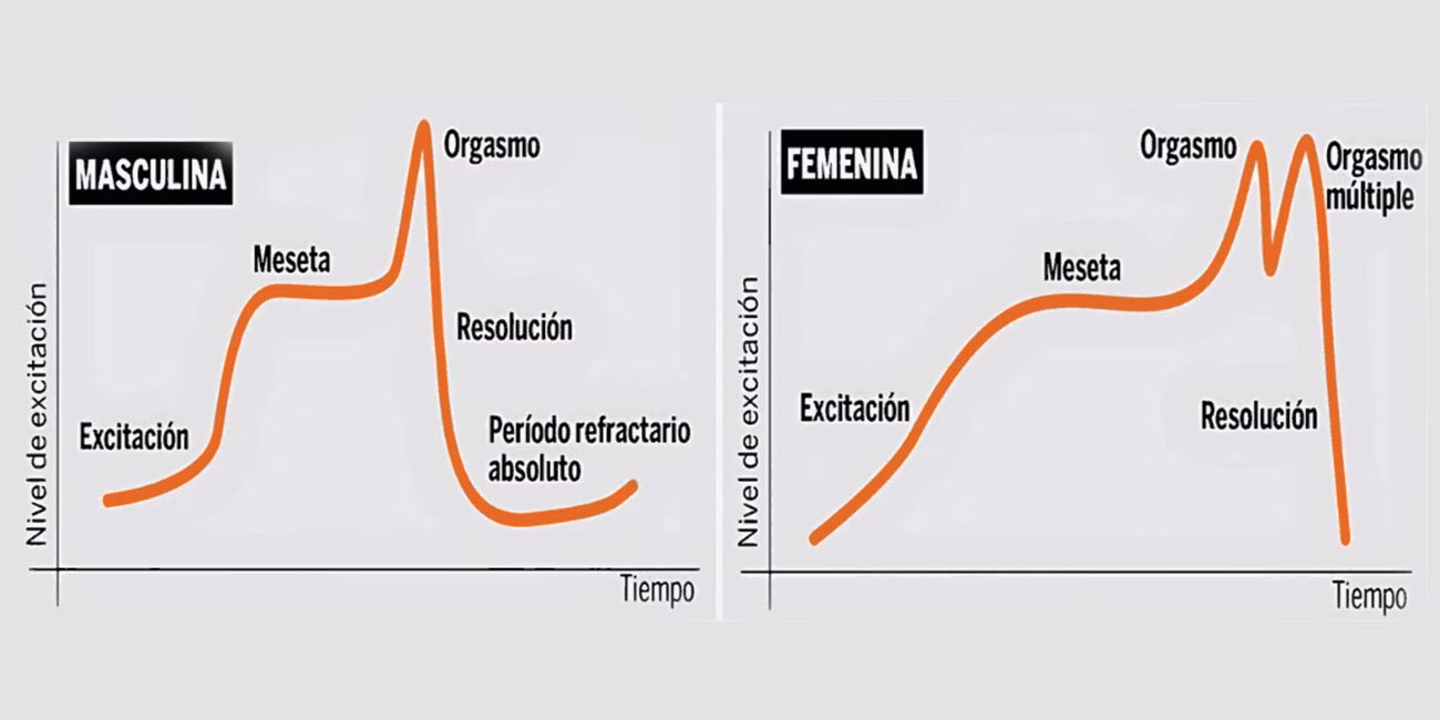 Fases-de-la-respuesta-sexual-humana